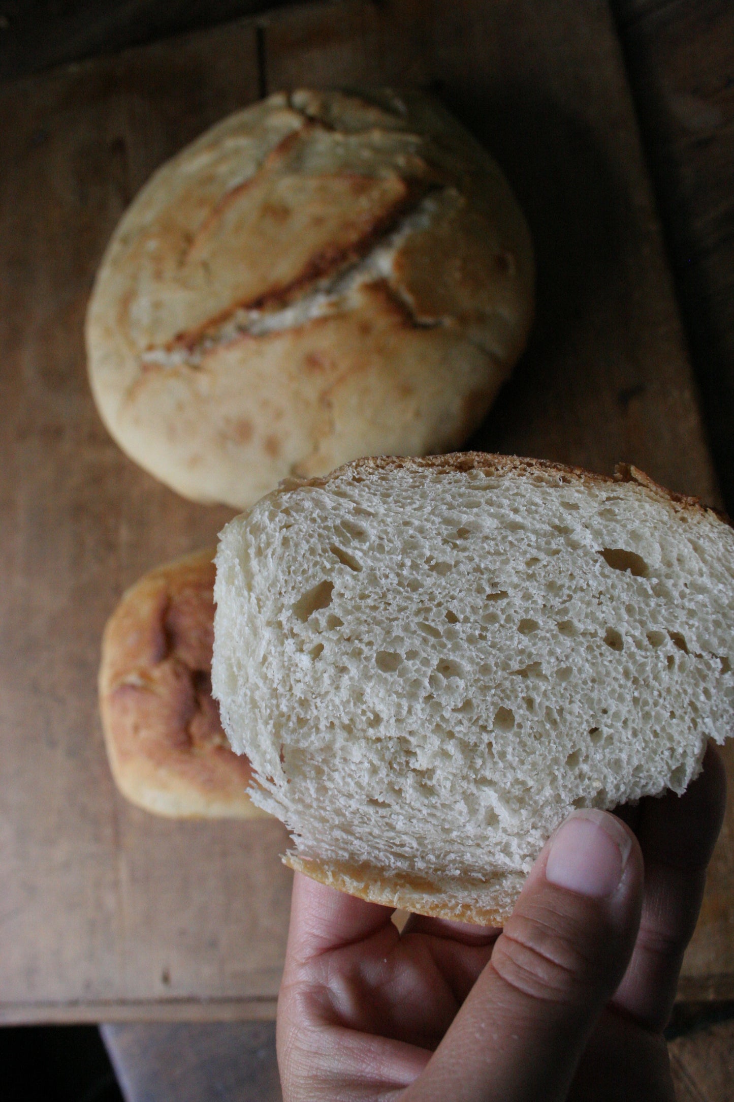 Grandma Jo’s Sourdough Bread