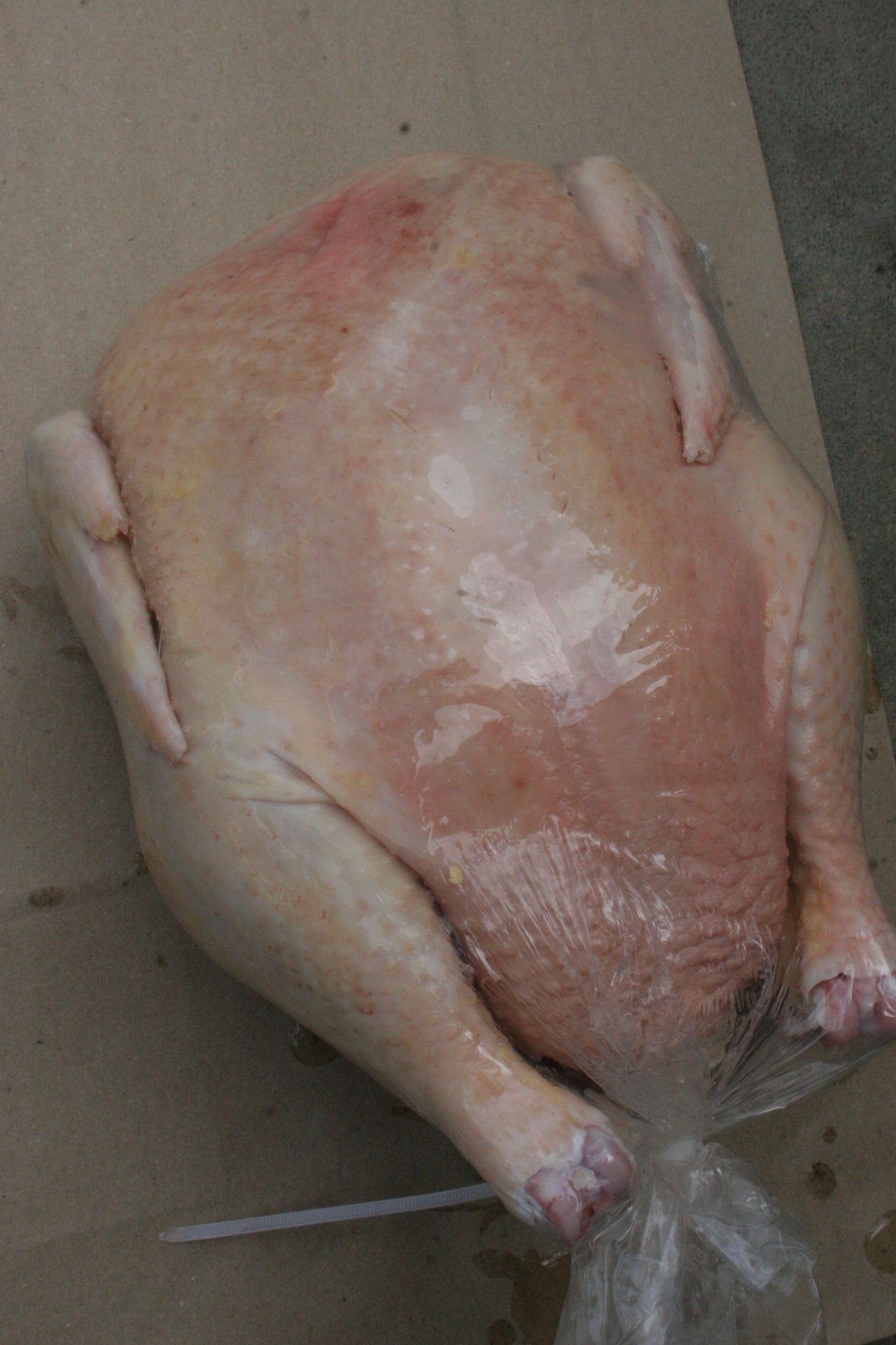 Whole Meat Bird