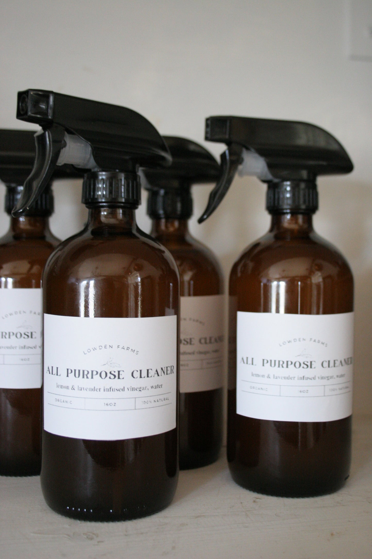 All Purpose Spray Cleaner