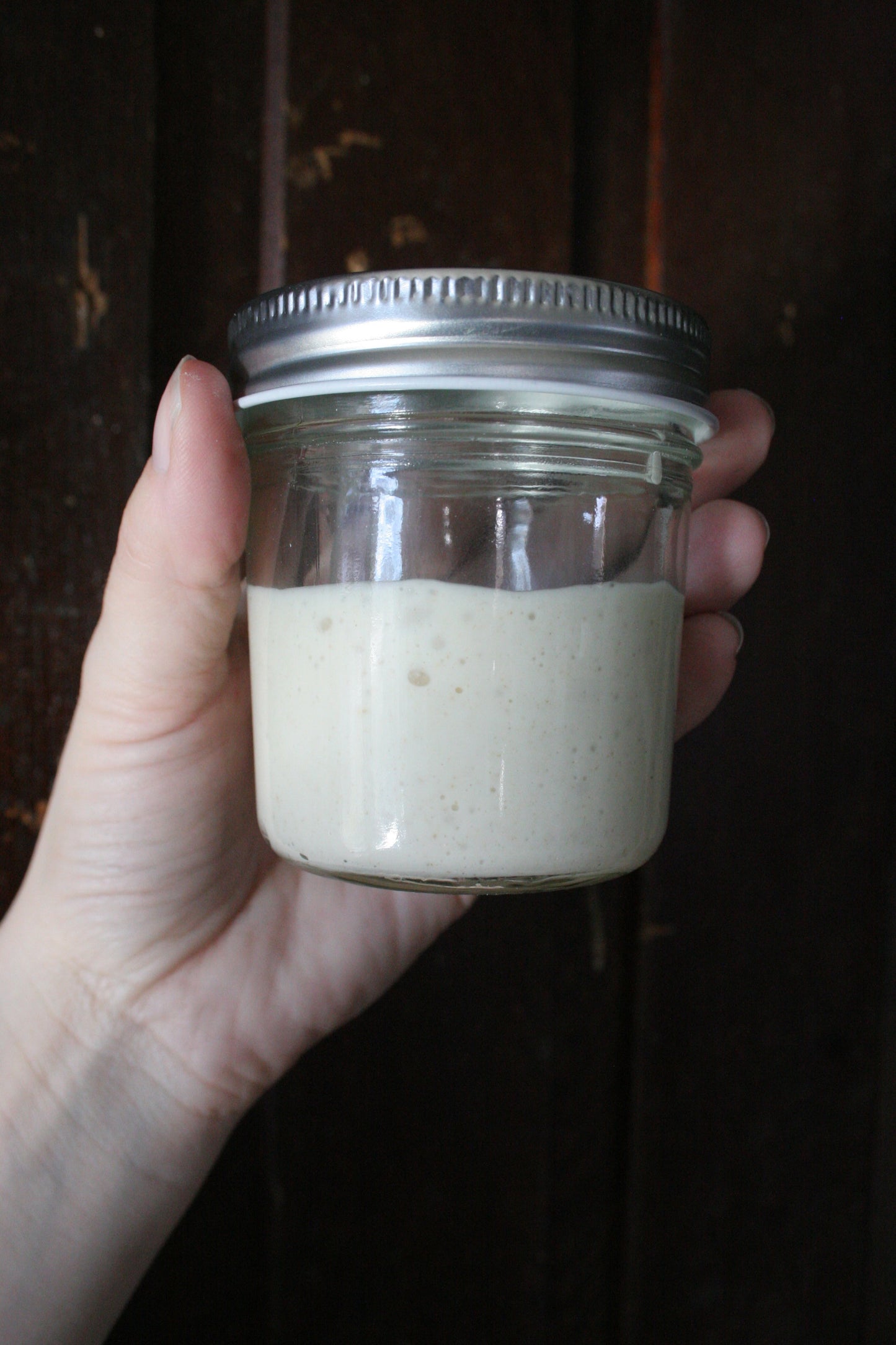 Active Sourdough Starter