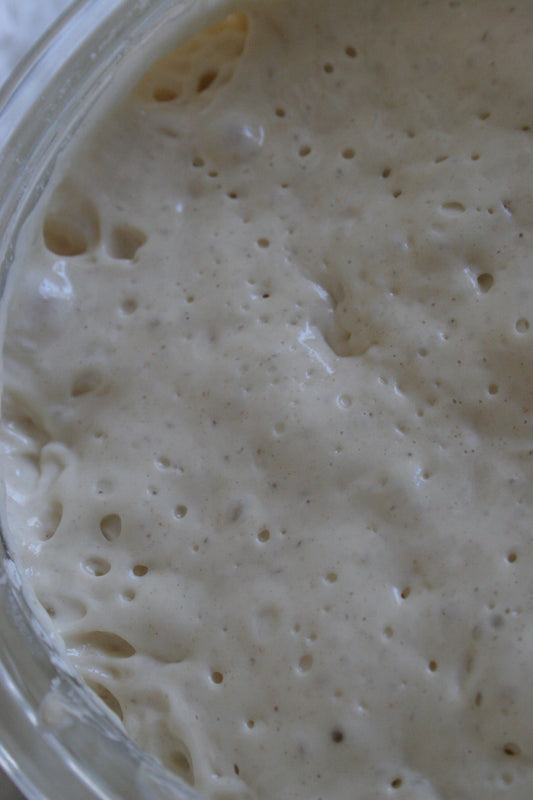 Active Sourdough Starter