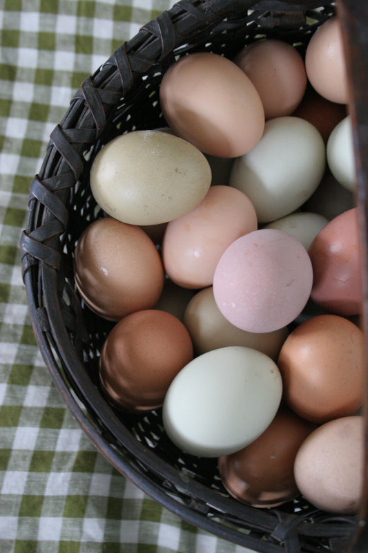 Chicken, Duck, & Quail Eggs