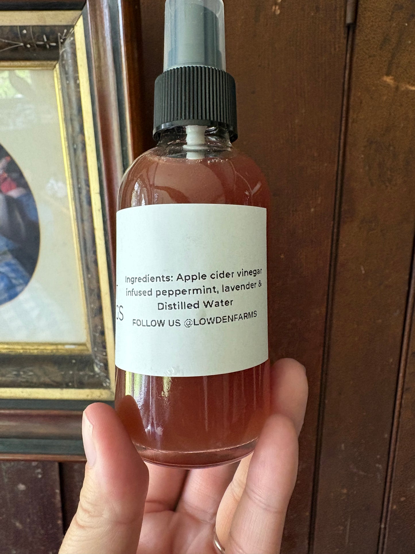 Natural Insect Spray for Humans & Dog