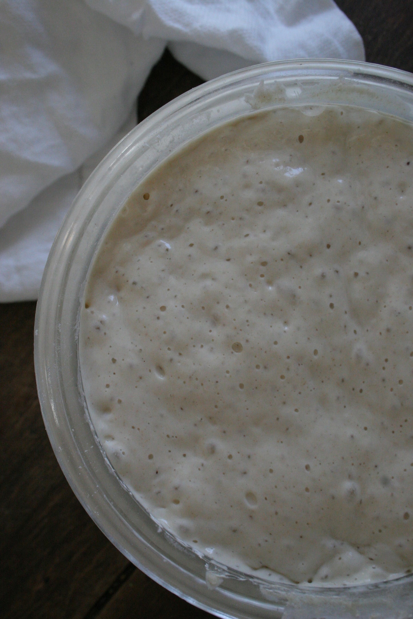 Active Sourdough Starter