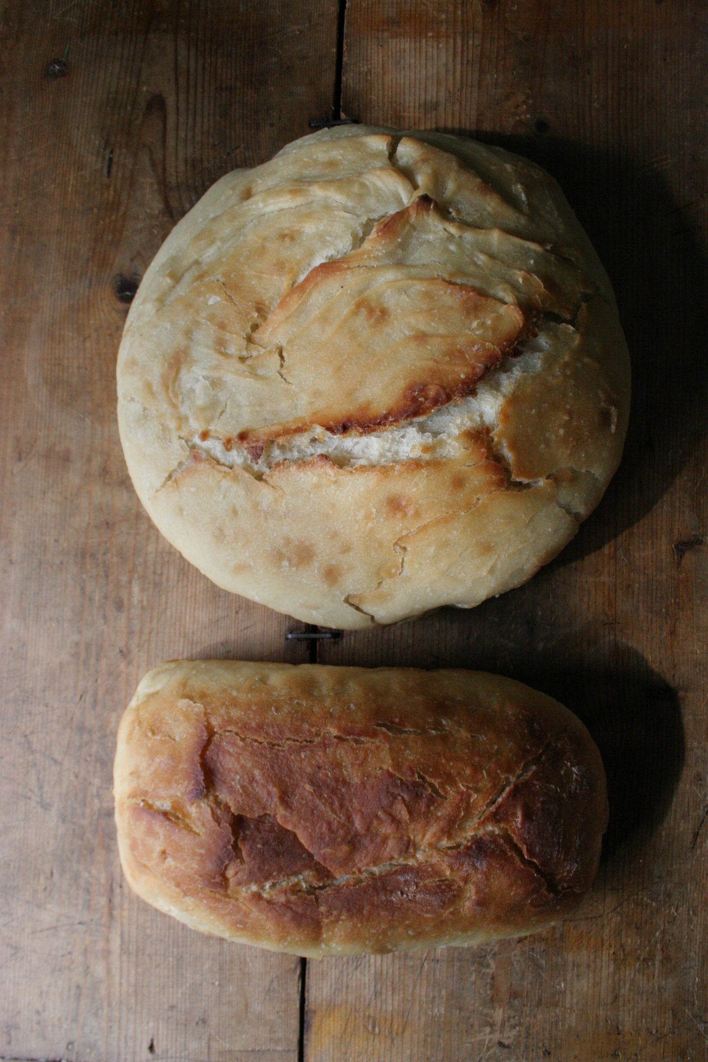 Grandma Jo’s Sourdough Bread