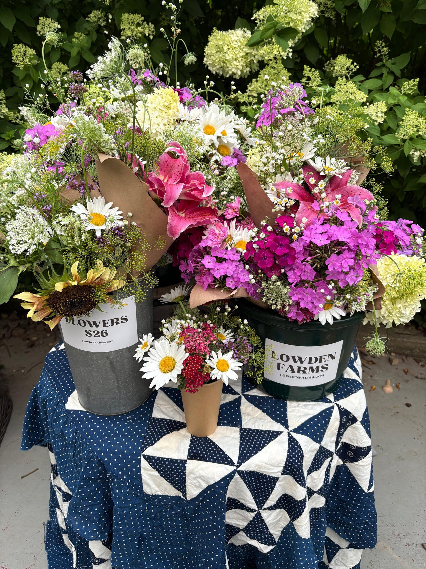 Flowers