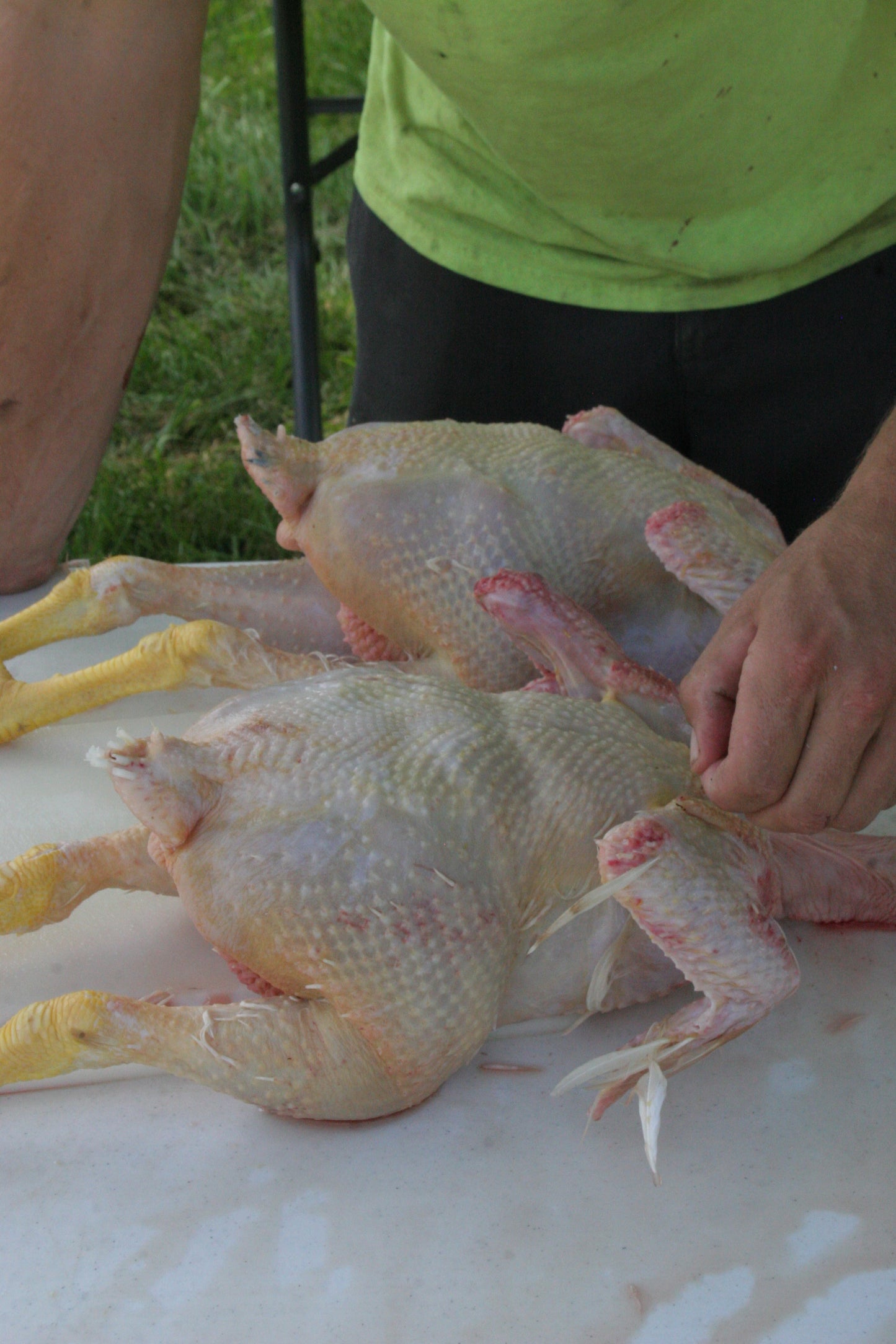 Whole Meat Bird