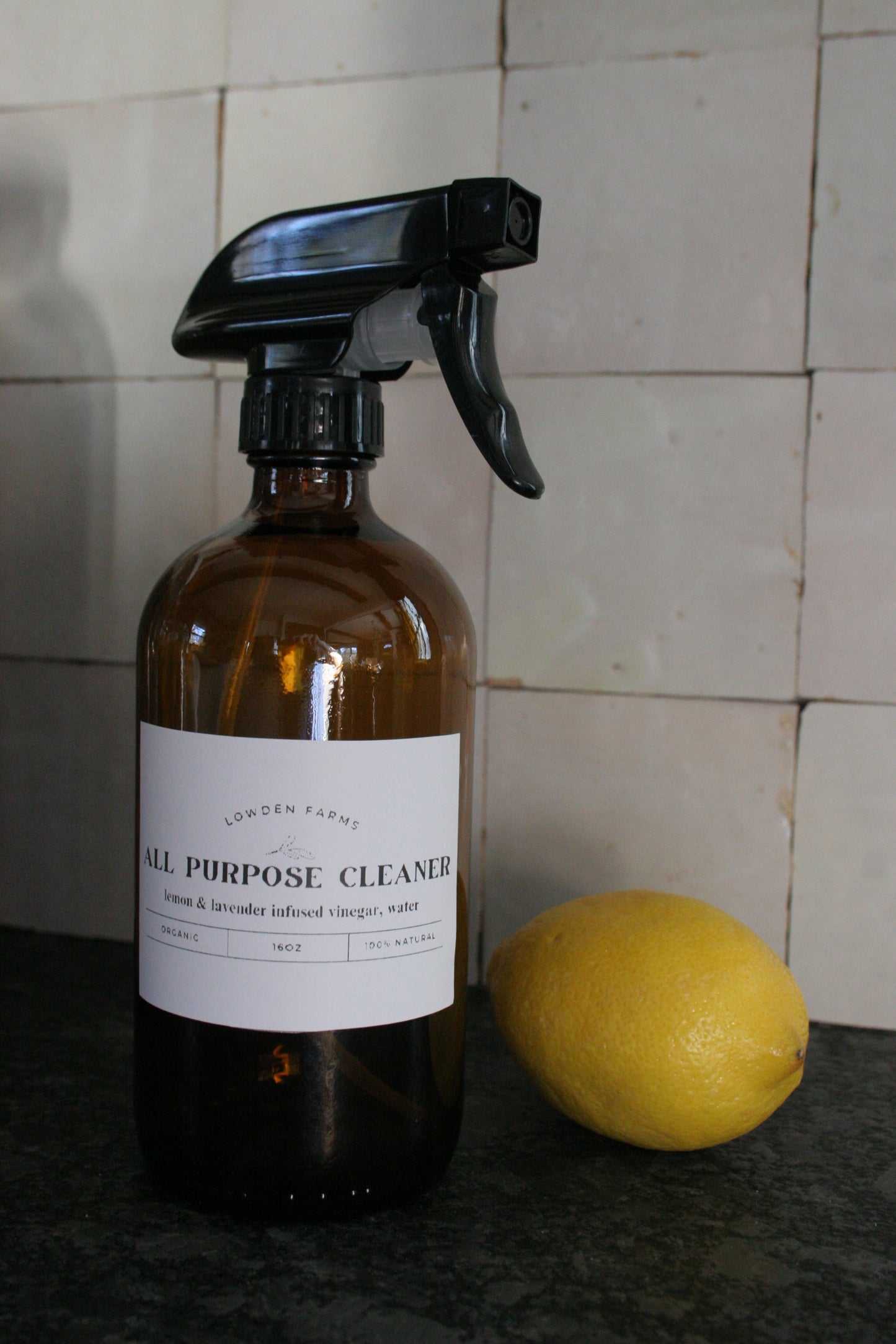 All Purpose Spray Cleaner