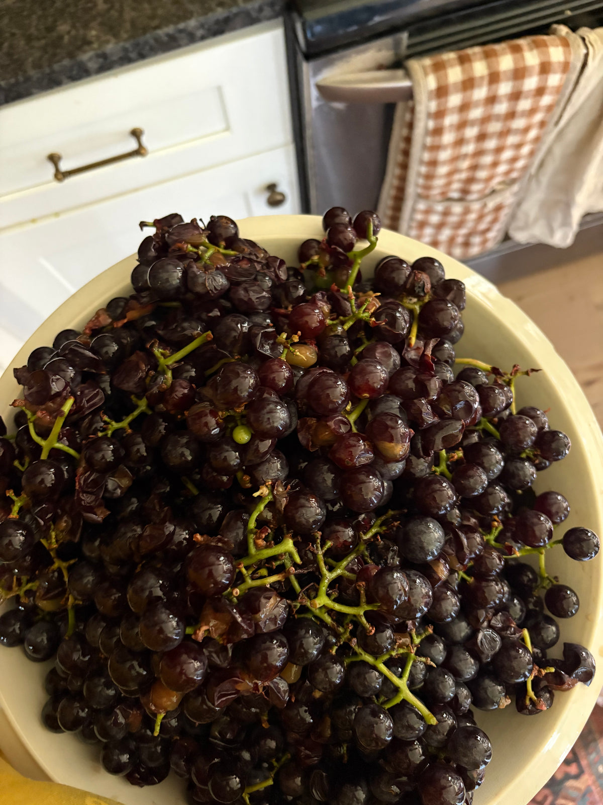 Concord grape Jam