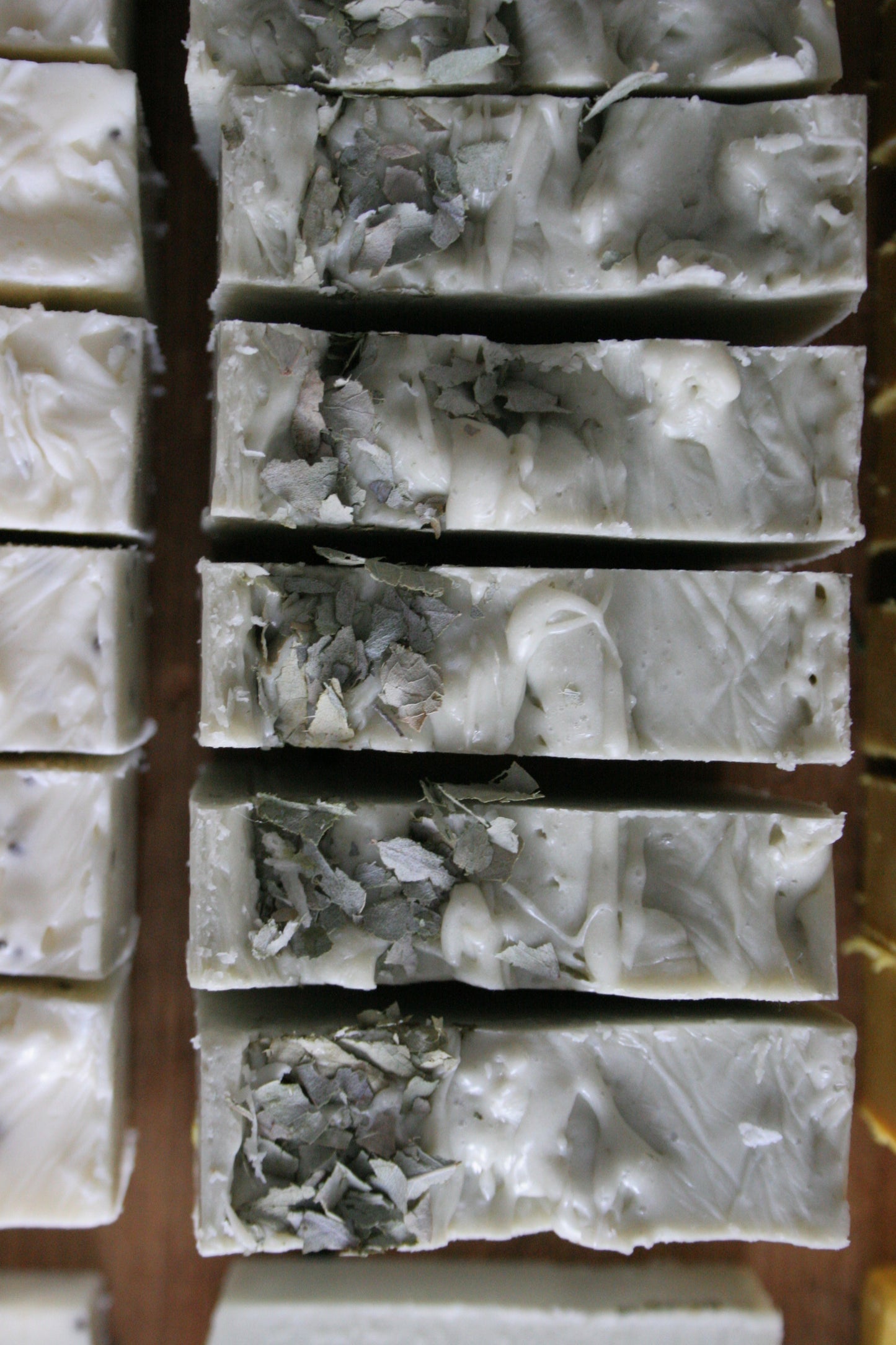 Tallow & Goat Milk Soap Bars